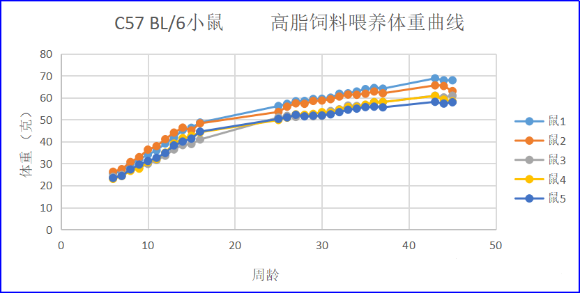 c57小鼠体重曲线图片