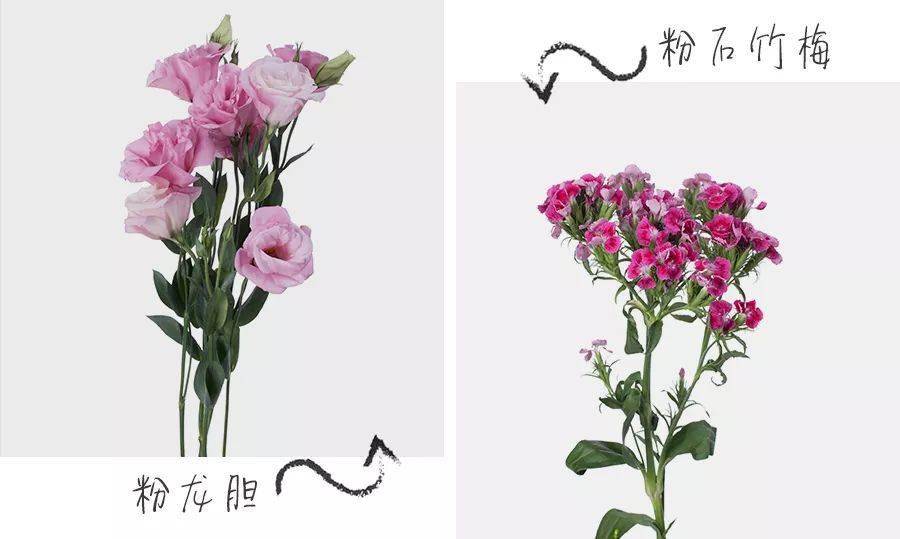 罗马不是一天建成的插花也不是一天练成的