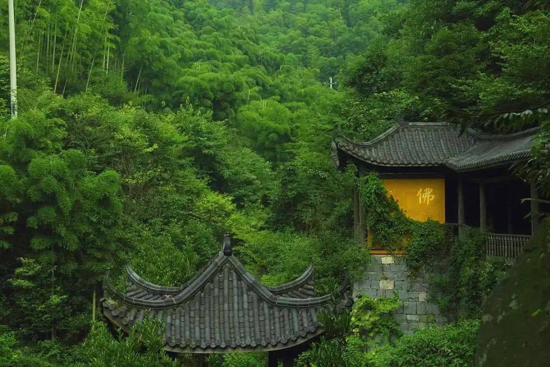 『10月4日仙潭秘境』 徒步竹海情路步道,山水碧坞龙潭探幽!