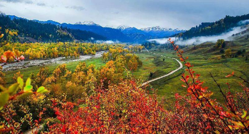 新疆的秋天中国最美的秋天