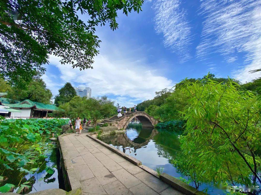 夏日赏荷,秋日赏桂,新都桂湖公园以荷花美景,桂香扑鼻闻名遐迩,游人趋