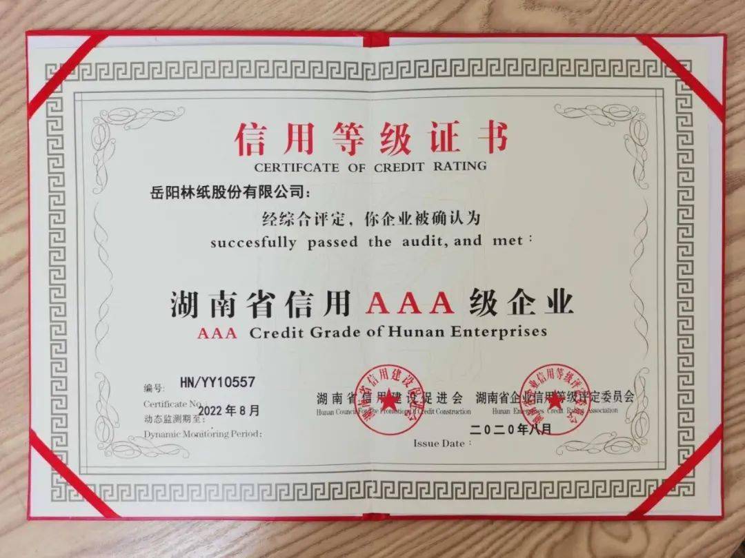 资信证明专用纸 来自搜狐网
