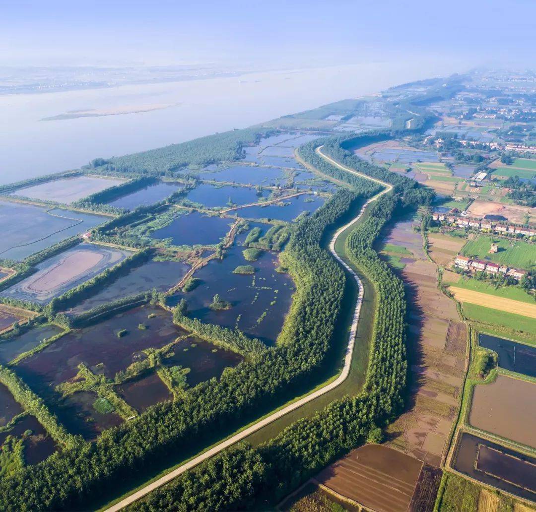 【大美荆州】洪湖,不仅有浪打浪,还有湿地风光和湖鲜全宴!_湖北
