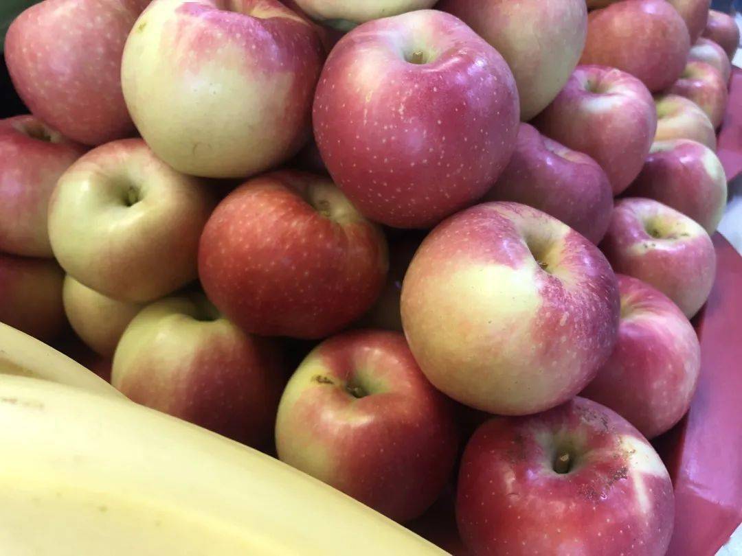 天津水果大学又发水果了光盘免费换水果