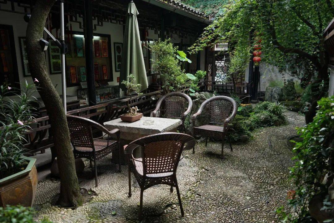 老院子里的菖蒲