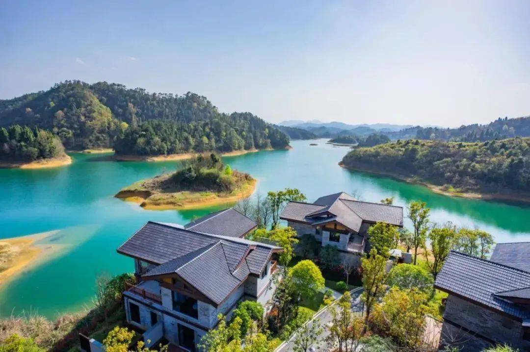 千岛湖龙川湾国家森林康养基地医学实证研究志愿者招募通知