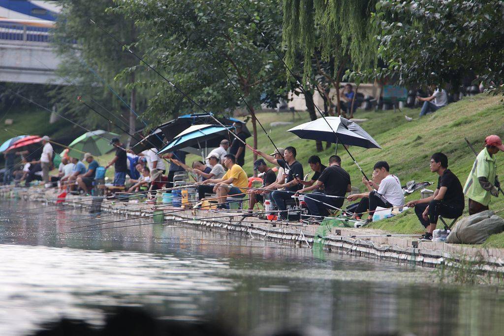 青岛:市民河边"排排坐" 周末钓鱼消遣时光_白沙河