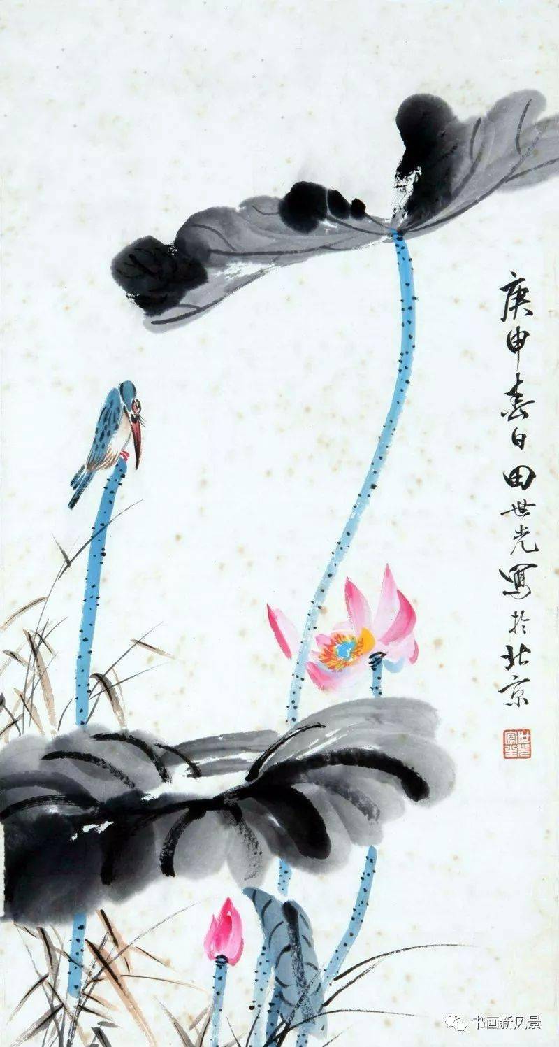 花鸟大师田世光画荷!_荷花