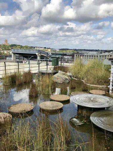 景观设计是所有艺术之母英国景观大师杰弗里杰里科的设计思想