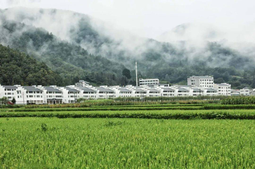 229户贫困户当股东 ——保康县两峪乡易迁点产业发展见闻