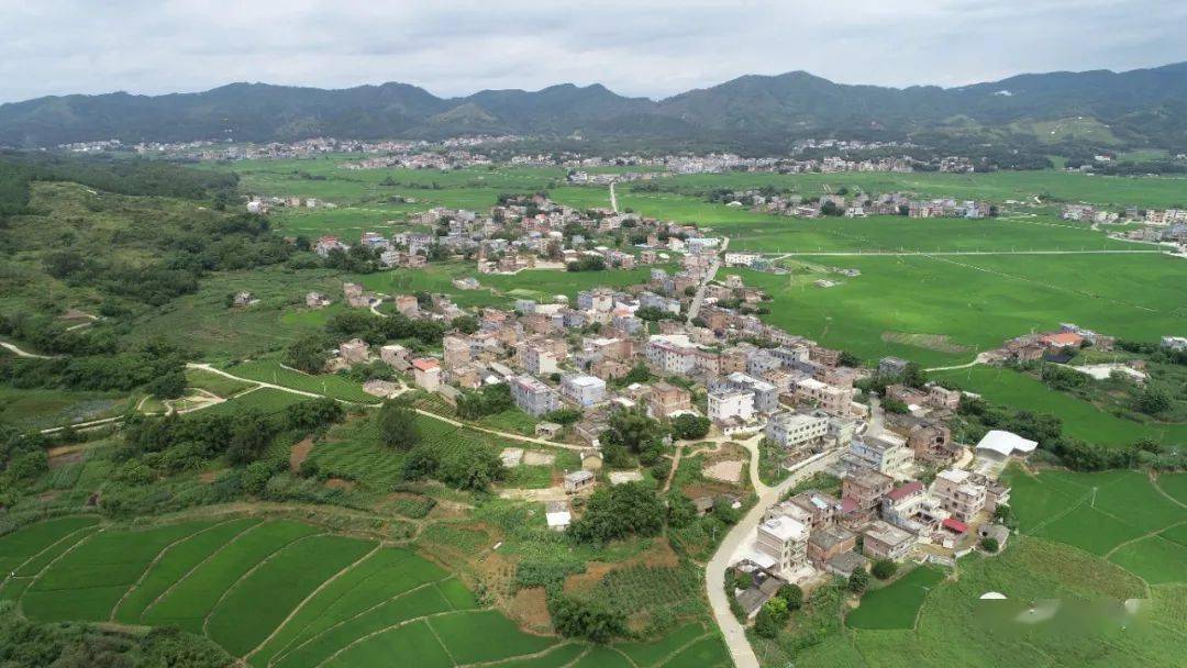 木格镇搭建富硒联盟振兴乡村经济