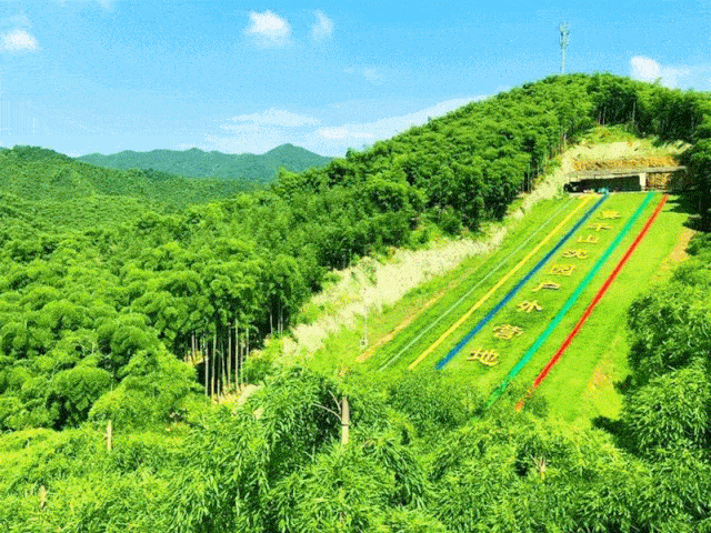 十一倾情钜惠,滑草,攀岩,骑马射箭,嗨翻莫干山沈园户外探险乐园