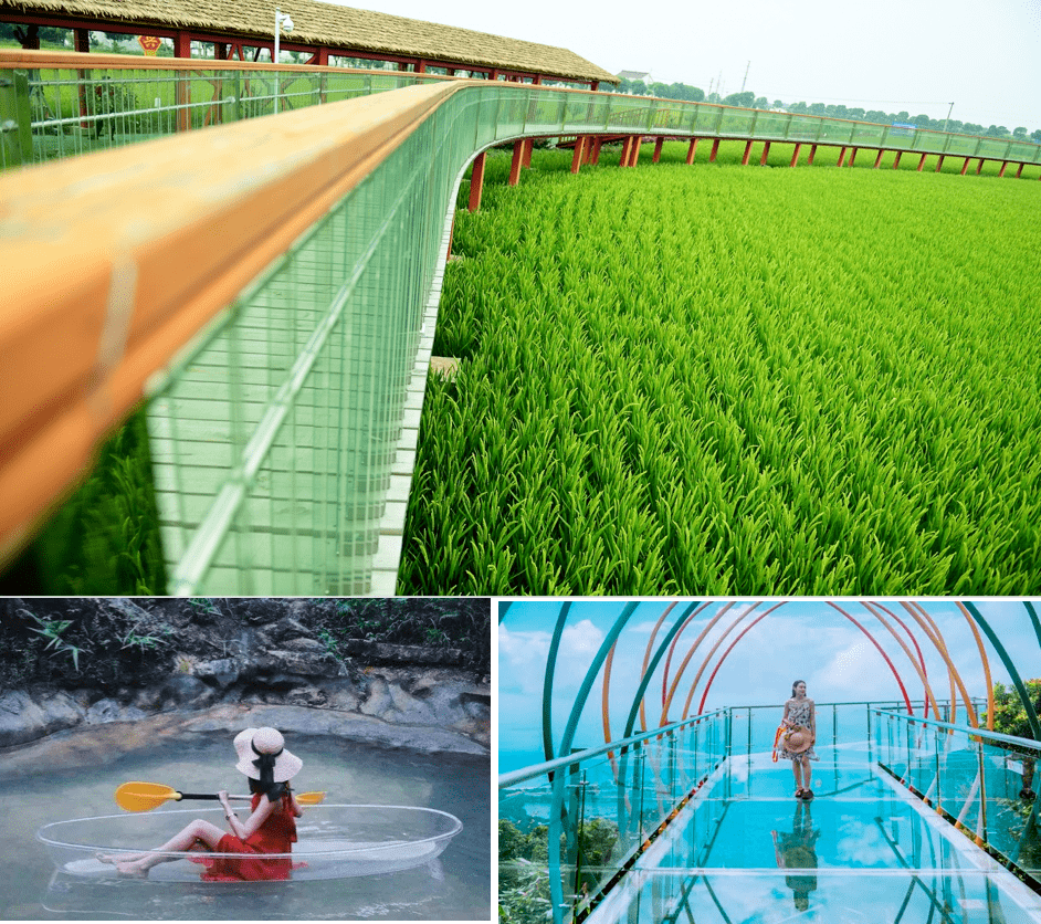 在稻田周围打造网红玻璃船和玻璃栈道等各种新奇好玩的地方为前来的