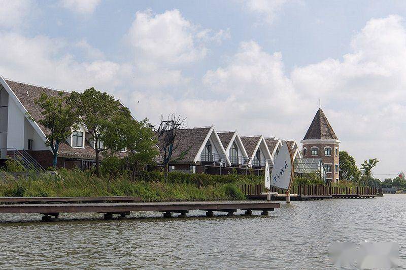 高清组图上海水库村乡村颜值美如画