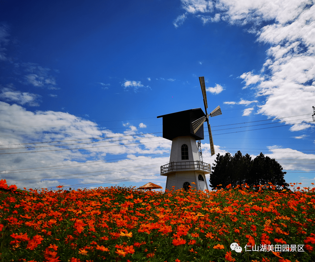 【湖美田园·十一欢乐周】国庆大型演艺水上飞人,摩托车高空走钢丝