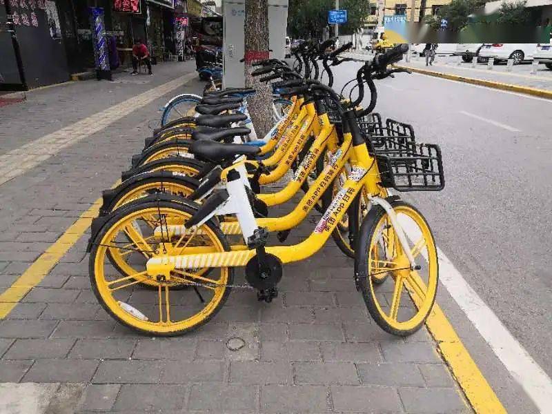 扫码支付牌照_牛码付有支付牌照吗_牛码付怎么样