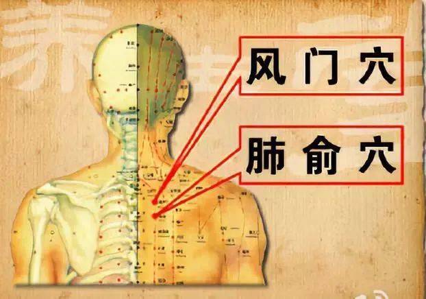 肺有五怕秋季尤其要避开还有两个养肺误区很多人中招不养生反致病