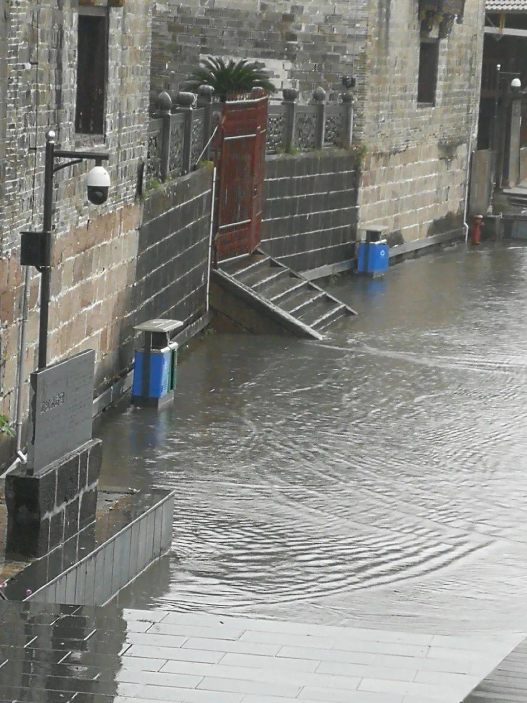 芷江舞水河涨水了