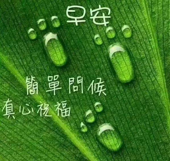 新早上好漂亮圖片大全 朋友圈早安祝福語_問候