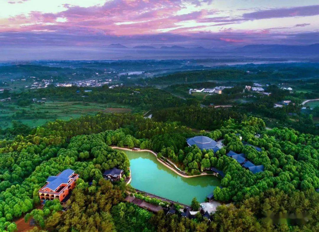 一群图书的漂流