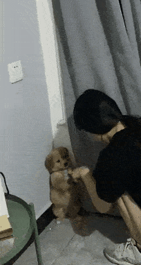 204_382gif 动态图 动图