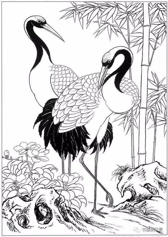 画鹤这是最优美的线条