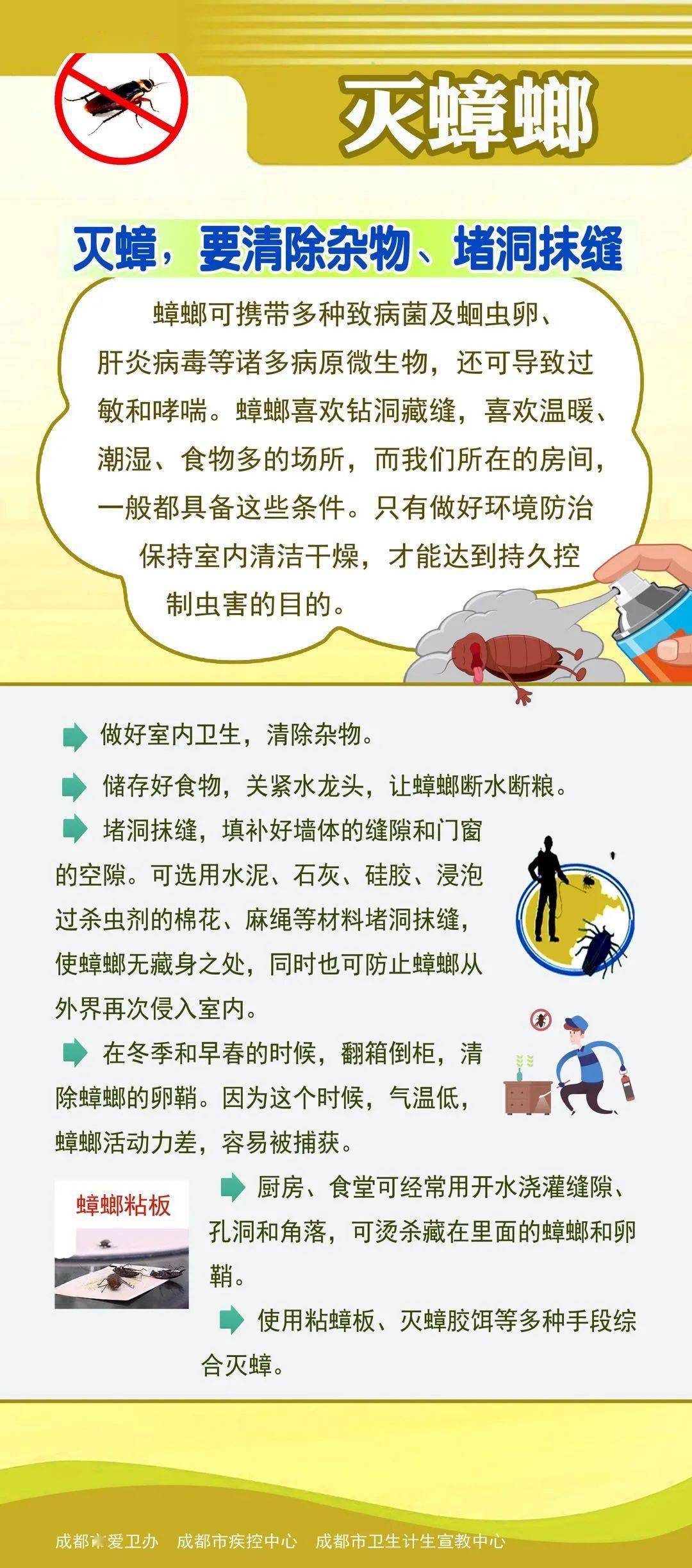 健康宣教清洁家园迎国庆除害防病保健康灭鼠灭蟑篇