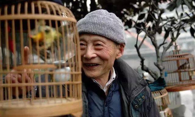 麻料血翅照片图片