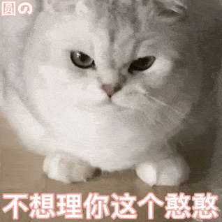 沙雕表情包干啥啥不行斗图第一名