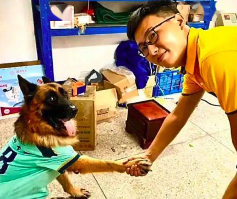 狗狗开门拿快递引热议,不是第一次,之前提醒女孩写作业登上热搜