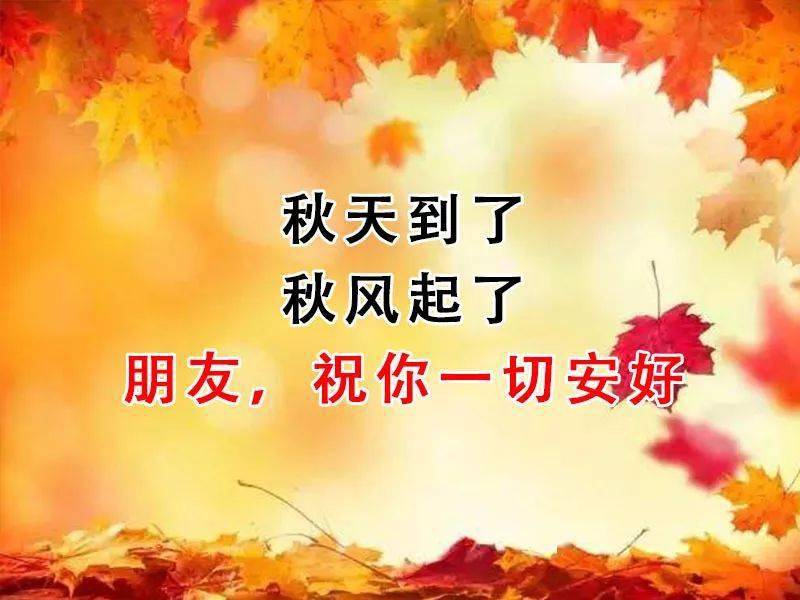 秋来了想你了天凉添衣朋友珍重