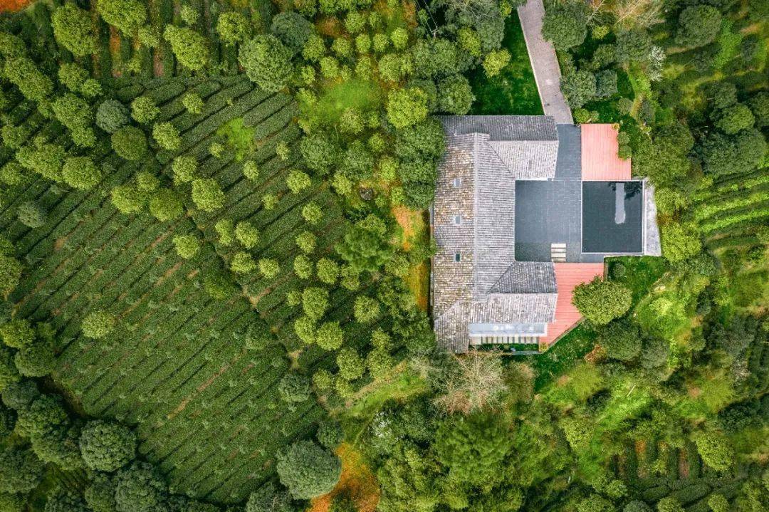 古有长安椒房殿,今有邛崃椒兰山房_手机搜狐网