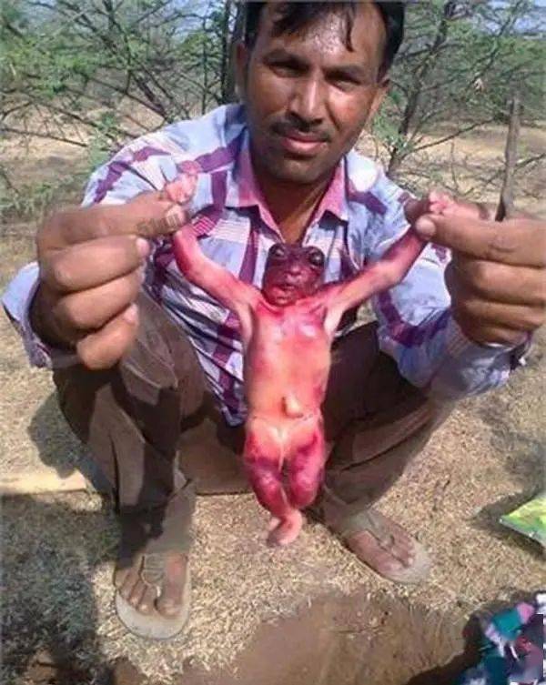 外星人混种印度发现诡异人形怪物