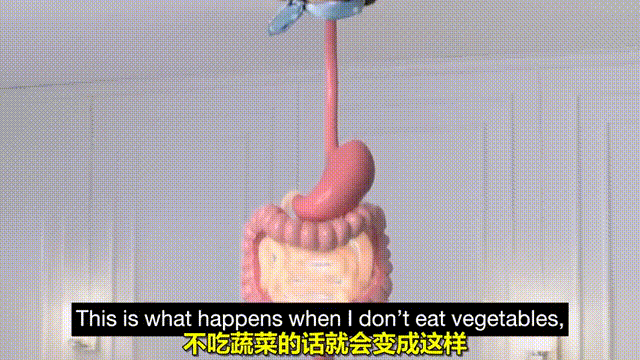 半空中一颗头连着巨大的肠胃飞至半空中神似传说中的"飞天降"画面一转