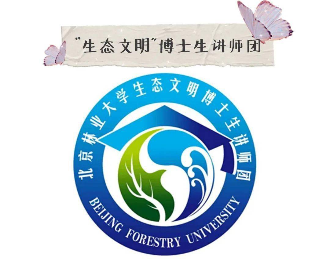 怦然新动关于讲师团你是否有很多问号其实我们并不难