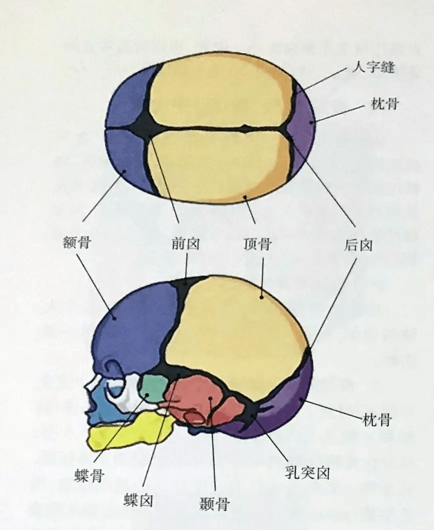 宝宝囟门小能补充维生素d吗