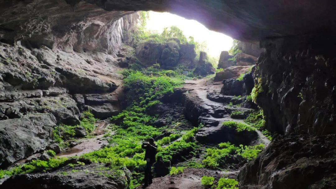 10月7日罗坑大环湖徒步探索神秘溶洞体验茶文化之旅