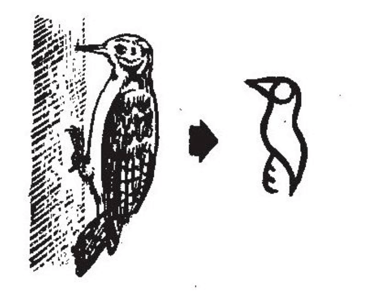 鸟的甲骨文,就像一只小鸟比如记录最初的信息通过画画写写的方式最早