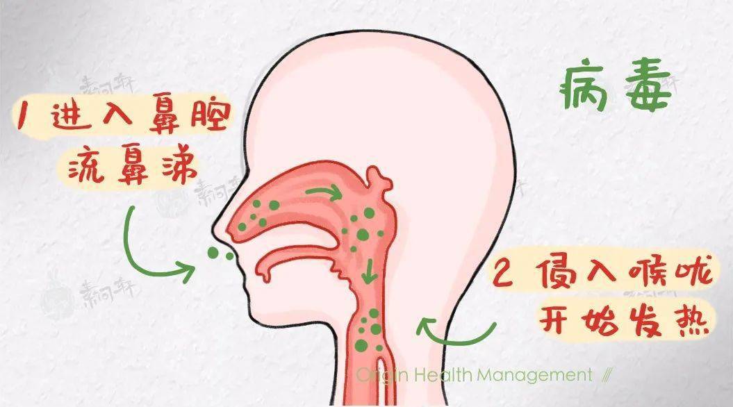 出现咳嗽症状以后,身体是有免疫系统的,免疫系统反应过来了,马上拿起