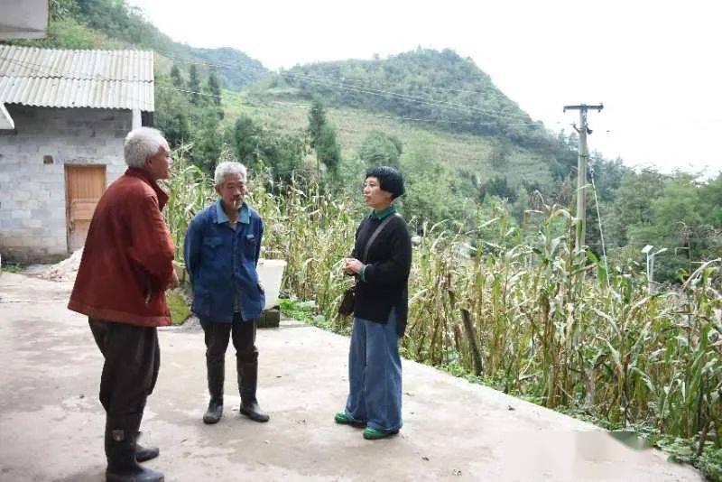 大山深处贫困群众的贴心人记大方县羊场镇陇公村驻村干部杨艳