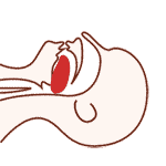 oto教育61欧缇欧幼儿园心肺复苏海姆立克急救法培训大讲堂