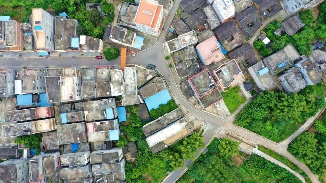 平南上渡这个村屯美得像公园是你的老家吗