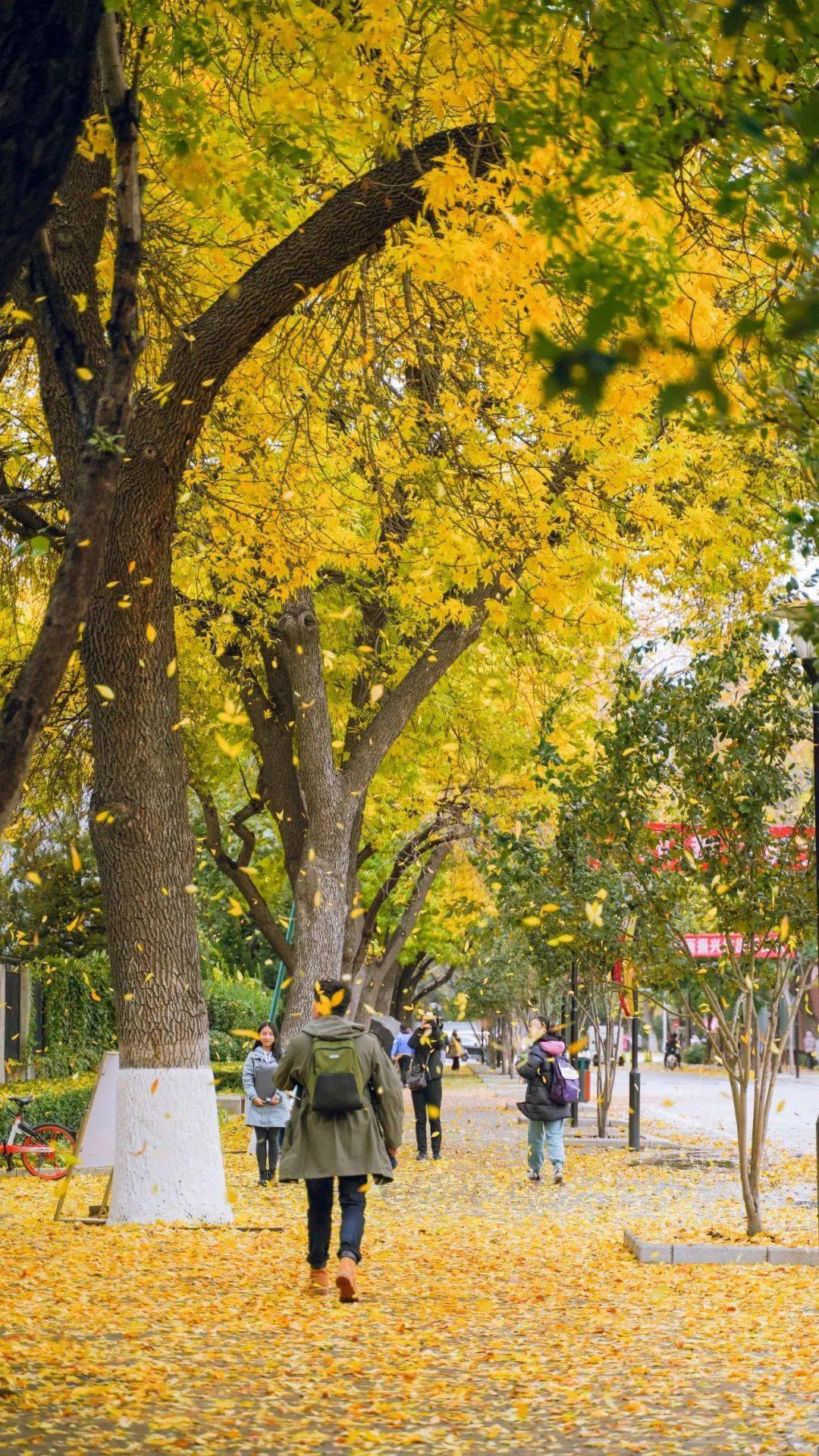 带你了解北林大景观新地标林之心背后的八个突破