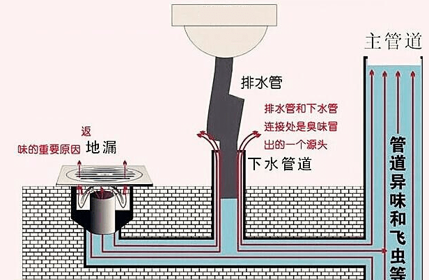 浴室地漏管道结构图图片