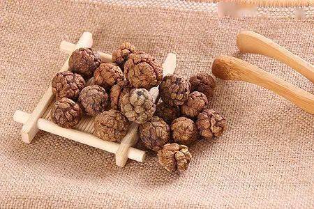 豆蔻家族三兄弟长相各异功效大不同