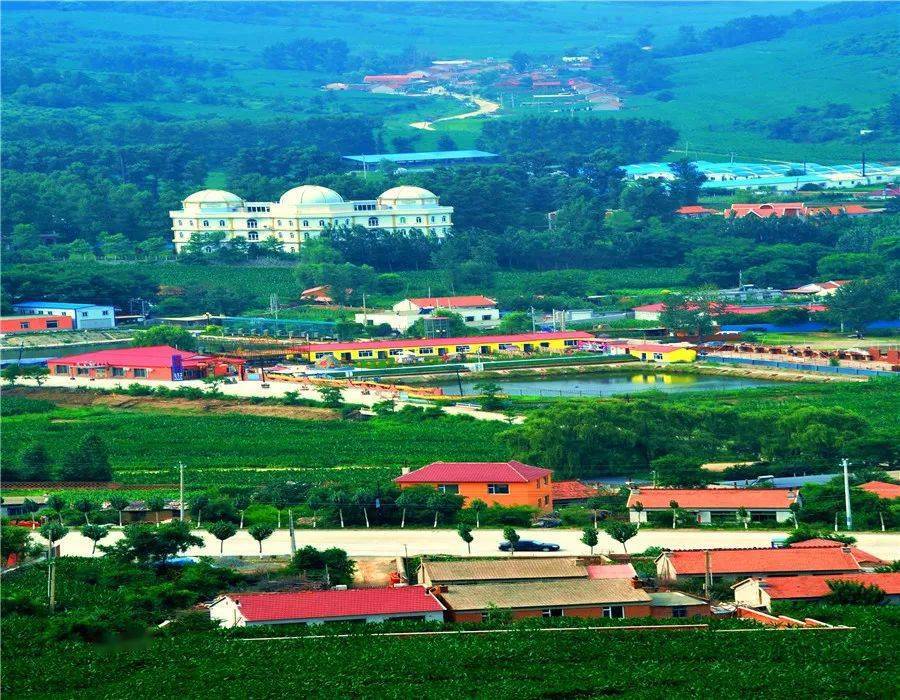 采摘,特色餐饮地 址:梨树县十家堡镇上三台村十家堡乐居山庄产品躺