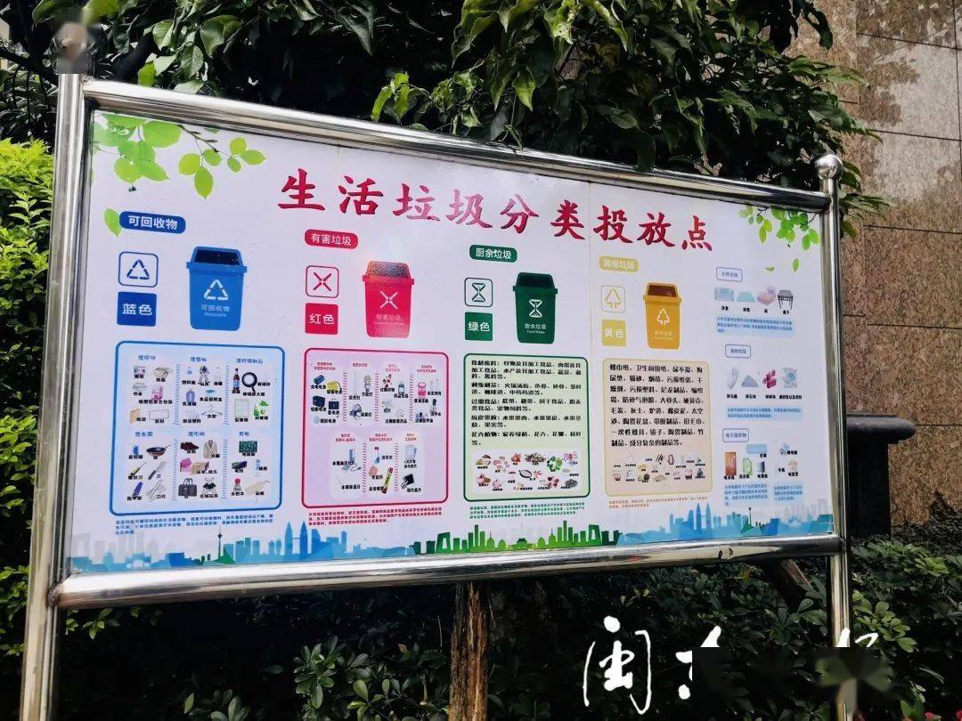 垃圾分类丨东侨垃圾分类进小区环保文明入人心