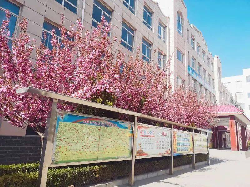 西峰区向阳小学征集校史资料啦