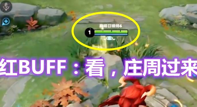 王者荣耀会玩的野都不会被自家打野拿而是吸引庄周来送人头