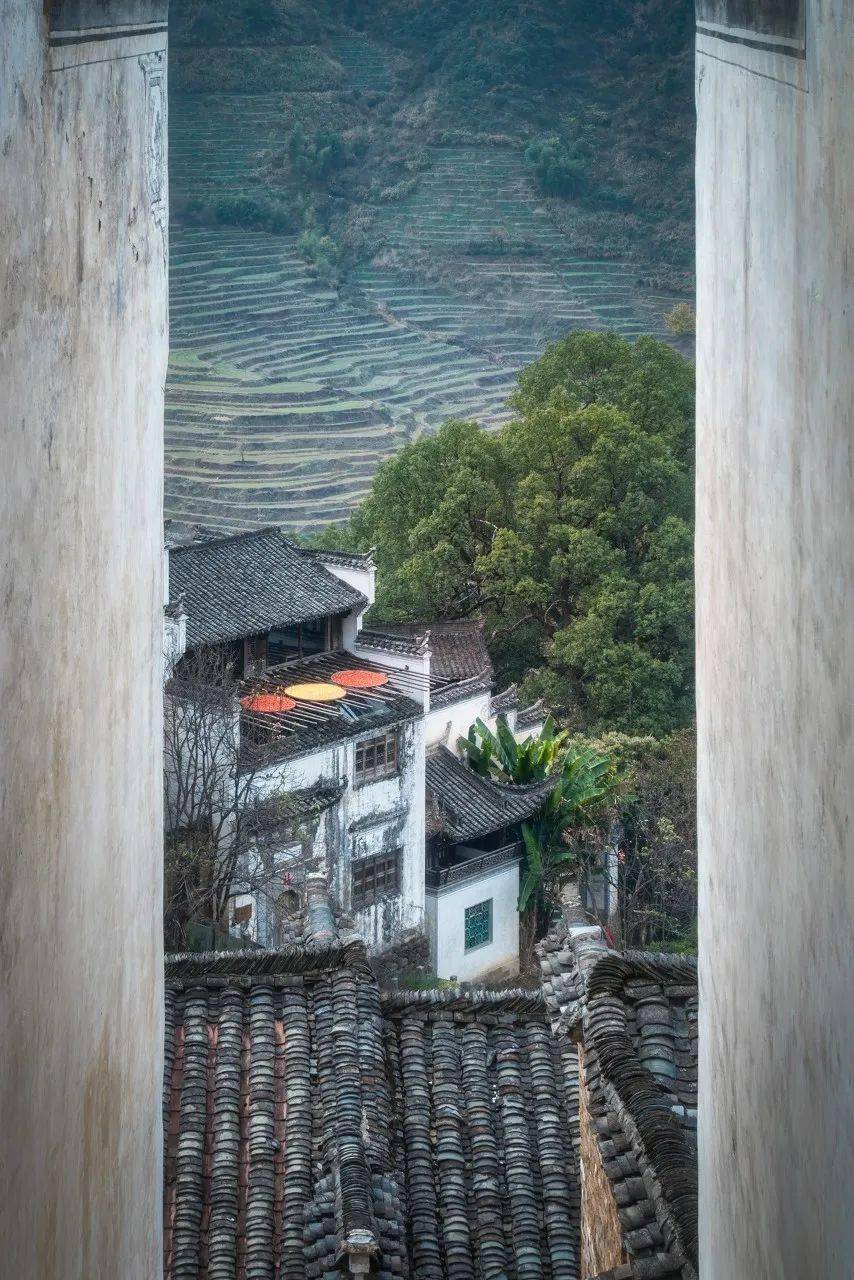 更別提這裡還有很多08圖蟲:山裡人家(鄱陽湖溼地)鄱陽湖,也在上饒!